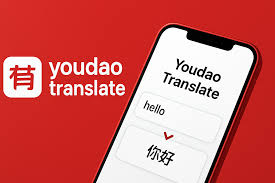 2026年有道翻译词典的“拍照翻译”支持翻译合同扫描件吗?