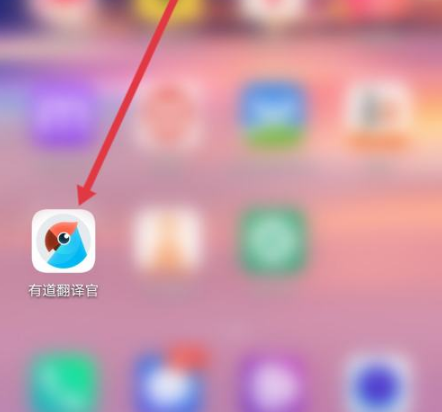 有道翻译词典的“生词本”支持导出为PDF打印吗?