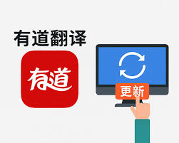 有道翻译的OCR文字识别组件需要单独下载吗?