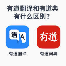 2026年有道翻译的AR实景翻译资源包有多大?